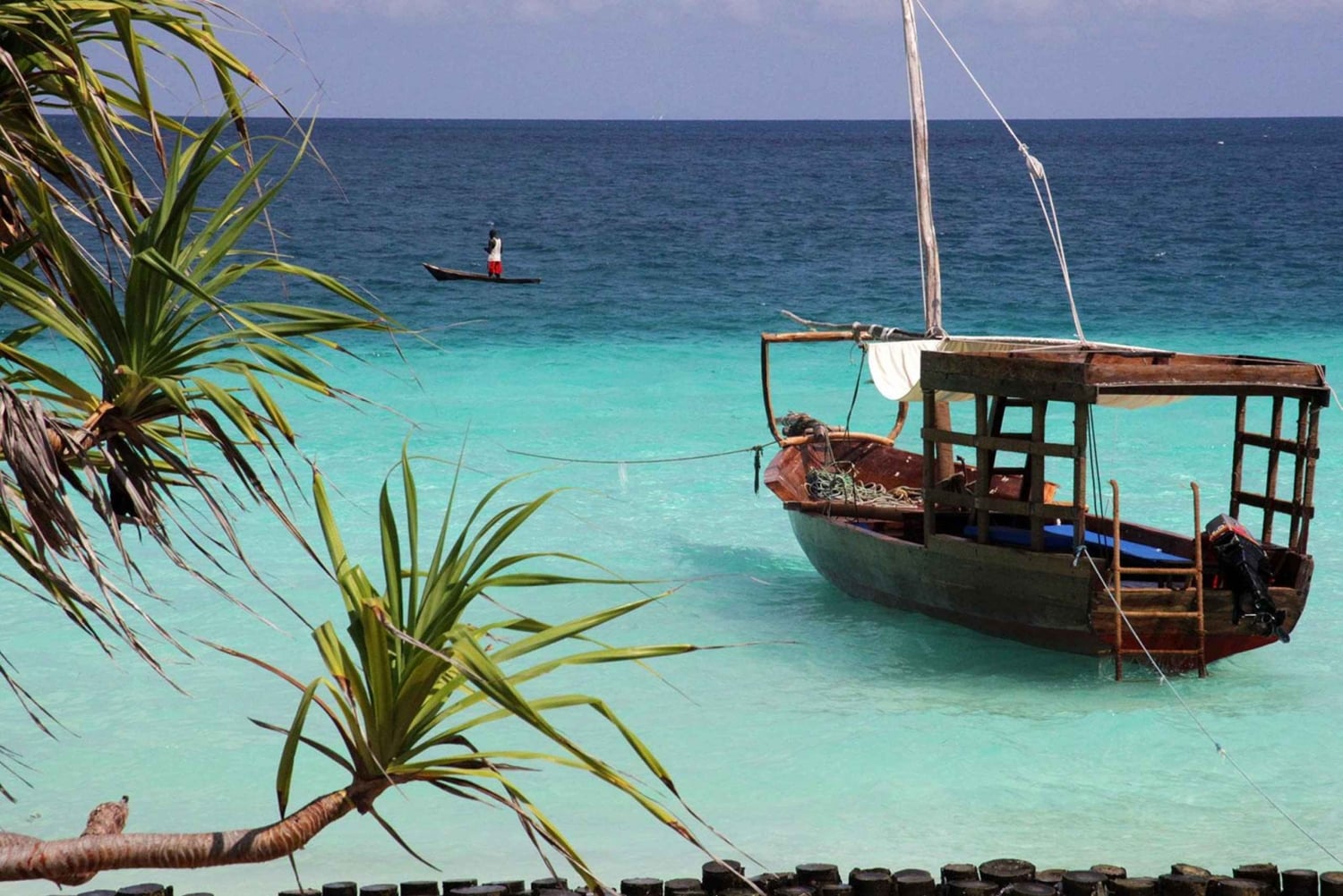 Zanzibar: tour dei delfini a Mnemba nelle Maldive africane