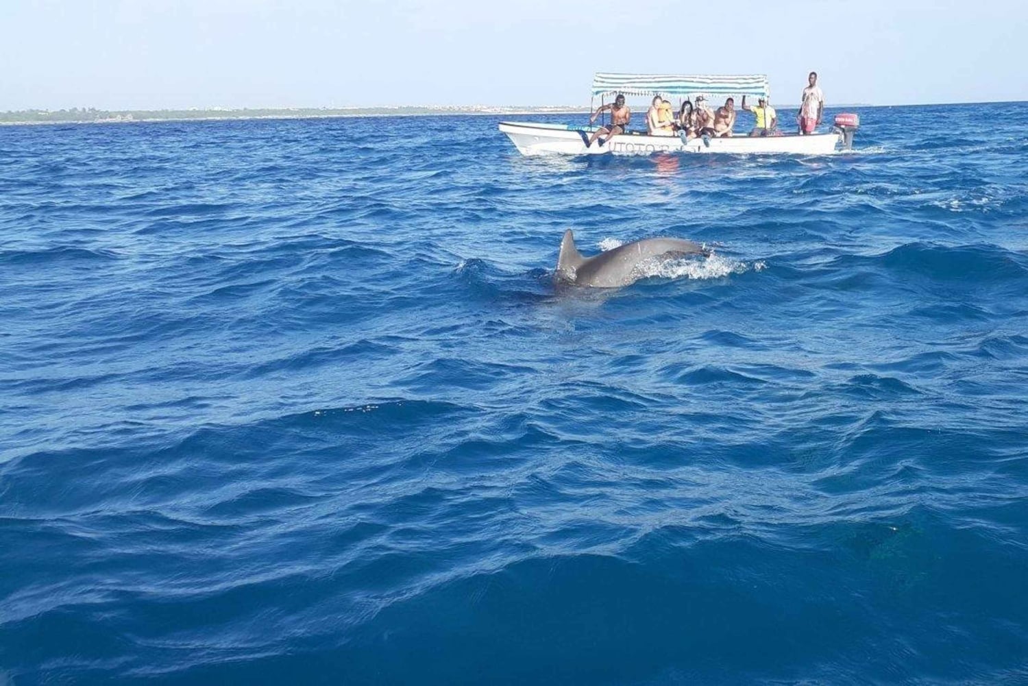 Zanzibar: tour dei delfini a Mnemba nelle Maldive africane