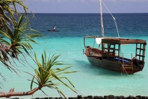 Zanzibar: tour dei delfini a Mnemba nelle Maldive africane
