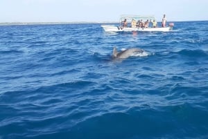 Zanzibar: tour dei delfini a Mnemba nelle Maldive africane