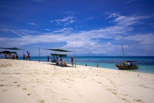 Zanzibar: wycieczka z delfinami w Mnemba i wycieczka piesza po Stone Town
