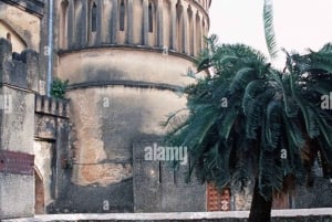 Zanzibar: wycieczka z delfinami w Mnemba i wycieczka piesza po Stone Town