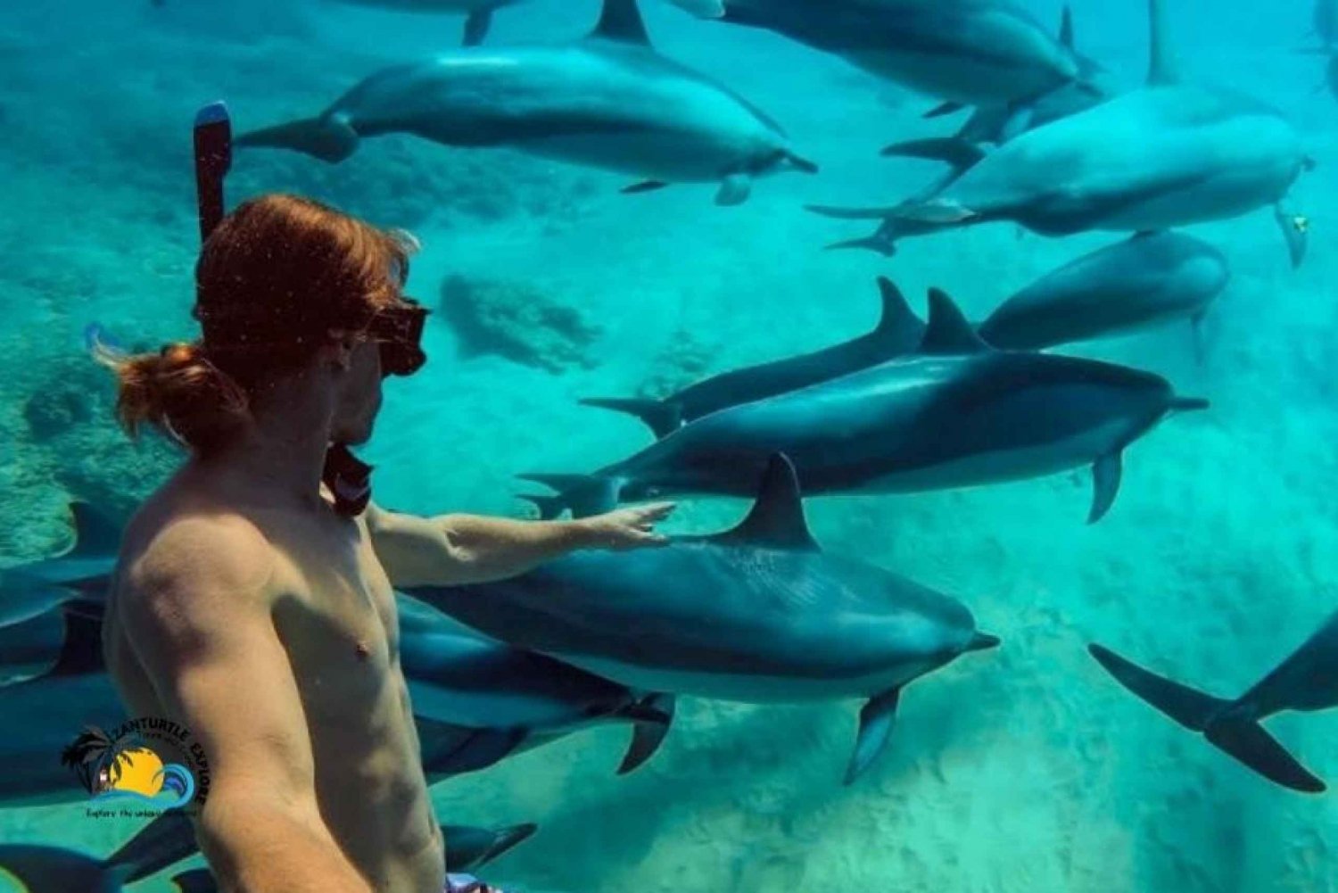 Zanzibar: Mnemba Dolphin Tour & Sunset Dhow Cruise