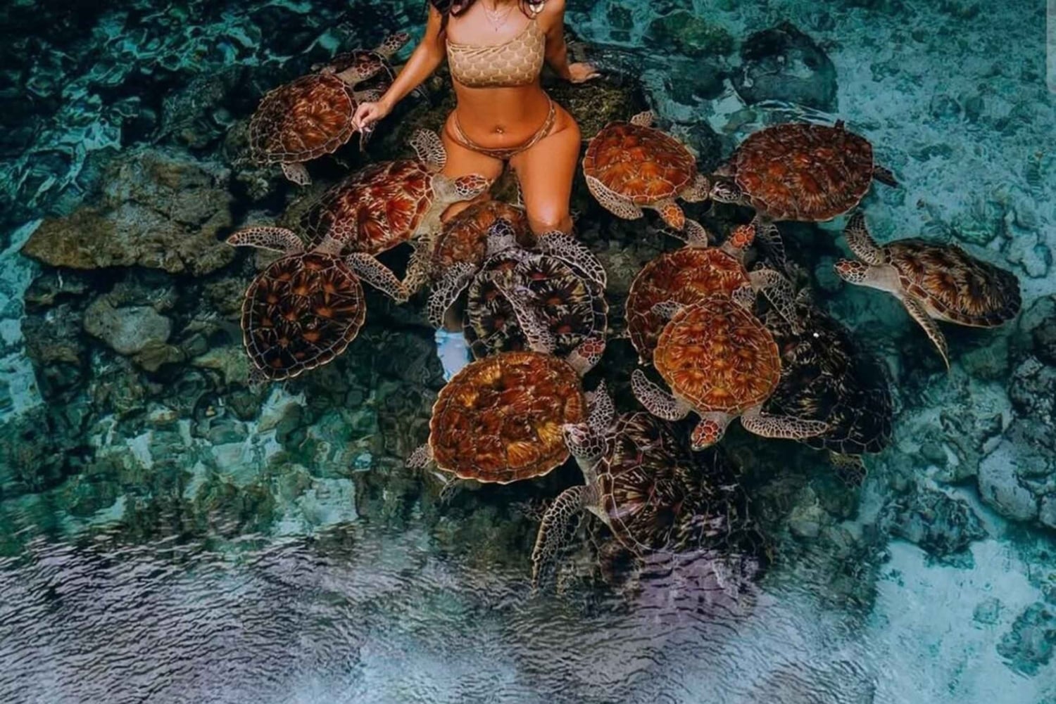 Zanzibar: Mnemba – pływanie z delfinami i żółwiami morskimi w oceanarium