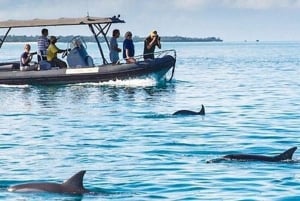 Zanzibar: Mnemba – pływanie z delfinami i żółwiami morskimi w oceanarium