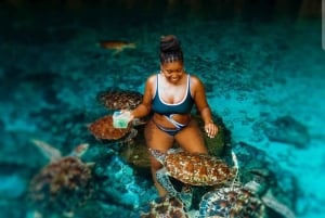 Zanzibar: Mnemba – pływanie z delfinami i żółwiami morskimi w oceanarium