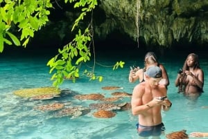 Zanzibar: Mnemba – pływanie z delfinami i żółwiami morskimi w oceanarium