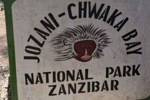 Zanzibar: Mnemba Dolphins, Jozani Forest & The Rock