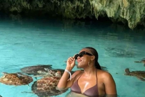 Sansibar: Mnemban delfiinit, merikilpikonnien kanssa uiminen ja snorklaus