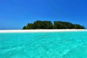 Sansibar: Mnemban delfiinit, merikilpikonnien kanssa uiminen ja snorklaus