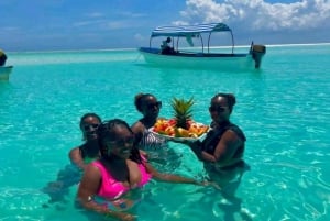 Zanzibar: mergulho com golfinhos em Mnemba e tartarugas no Aquário Baraka