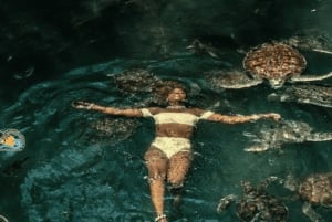 Zanzibar: mergulho com golfinhos em Mnemba e tartarugas no Aquário Baraka