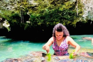 Zanzibar: mergulho com golfinhos em Mnemba e tartarugas no Aquário Baraka