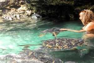 Zanzibar: mergulho com golfinhos em Mnemba e tartarugas no Aquário Baraka
