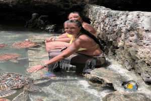 Zanzibar: Mnemba-dolfijnen snorkelen en Baraka-aquariumschildpadden