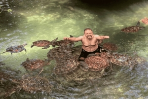 Zanzibar: Mnemba-dolfijnen snorkelen en Baraka-aquariumschildpadden