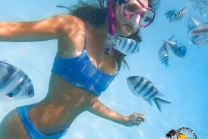 Sansibar: Mnemban delfiinit ja masai-kulttuuri