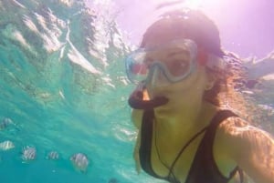 Zanzibar: Mnemba-delfintur med snorkling och sandbank