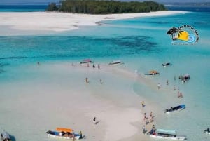 Zanzibar: Mnemba-delfintur med snorkling och sandbank