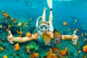 Zanzibar: Mnemba Dolphins Tour with Snorkeling and Sandbank