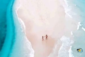 Zanzibar: Mnemba Dolphins Tour with Snorkeling and Sandbank