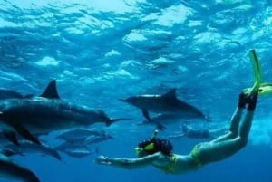 Zanzibar: Mnemba Dolphins Tour with Snorkeling and Sandbank