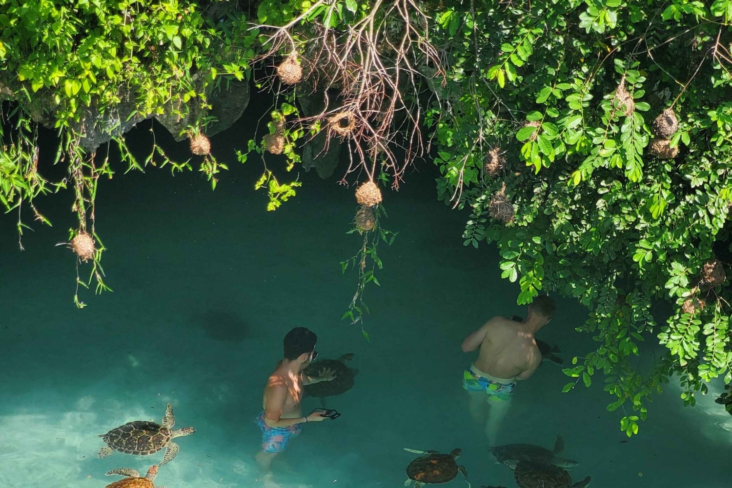 Sansibar: Mnemban saari ja Barakan akvaario – matkapäivä