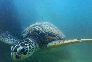 Sansibar: Mnemban saari ja Barakan akvaario – matkapäivä