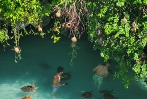 Sansibar: Mnemban saari ja Barakan akvaario – matkapäivä