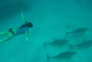 Sansibar: Mnemban saari ja Barakan akvaario – matkapäivä