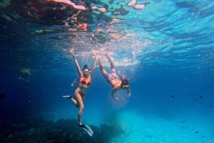 Sansibar: Mnemban saari ja Barakan akvaario – matkapäivä