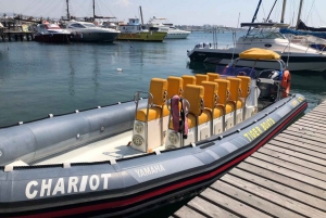 ザンジバル：ムネンバ島とウミガメ（ランチ付きオプション）