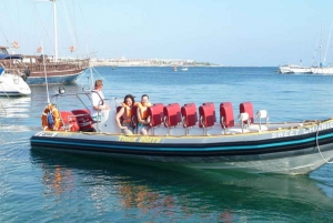 ザンジバル：ムネンバ島とウミガメ（ランチ付きオプション）