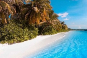 Zanzibar: Mnemba Island Atoll guidet dagsudflugt