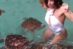 ZANZIBAR: wyspa Mnemba, jaskinia Salam i farma przypraw