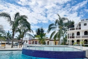 Zanzibar : Île de Mnemba, Aquarium de Tortues et Plage de Kendwa