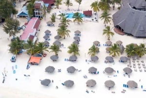 Zanzibar : Île de Mnemba, Aquarium de Tortues et Plage de Kendwa