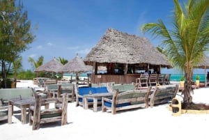 Zanzibar : Île de Mnemba, Aquarium de Tortues et Plage de Kendwa