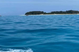 Zanzibar : Île de Mnemba, Aquarium de Tortues et Plage de Kendwa