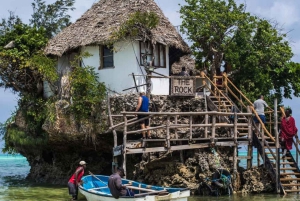 Zanzíbar: tour en barco a la isla de Mnemba, tortugas y The Rock