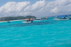 ザンジバル：メンバ島イルカとスノーケリングツアー