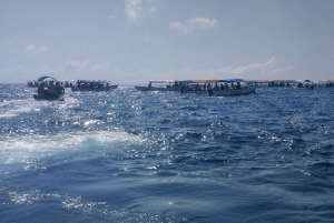 ザンジバル：メンバ島イルカとスノーケリングツアー