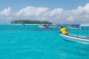 ザンジバル：メンバ島イルカとスノーケリングツアー