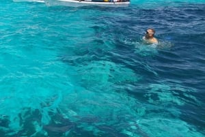 ザンジバル：メンバ島イルカとスノーケリングツアー