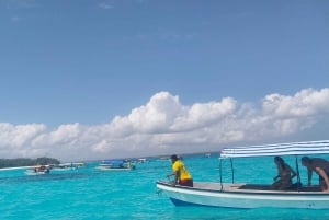 ザンジバル：メンバ島イルカとスノーケリングツアー