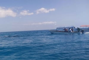 ザンジバル：メンバ島イルカとスノーケリングツアー