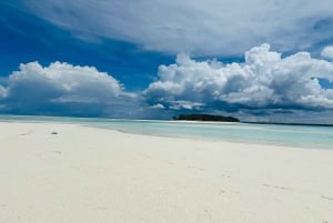 ザンジバル：メンバ島イルカとスノーケリングツアー