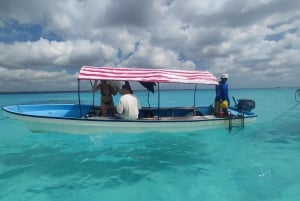 ザンジバル：メンバ島イルカとスノーケリングツアー