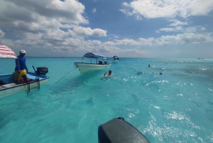 ザンジバル：メンバ島イルカとスノーケリングツアー