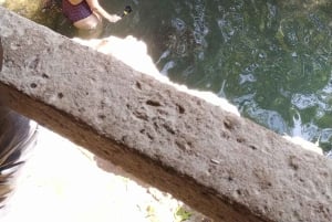 ザンジバル：ムンバ島 イルカ＆シュノーケリングツアー